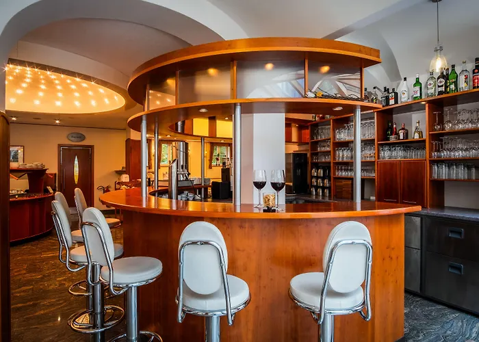 فندق Atrium Garni باساو